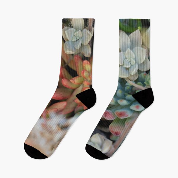 Item preview, bright succulents  designed and sold by beenplanted.