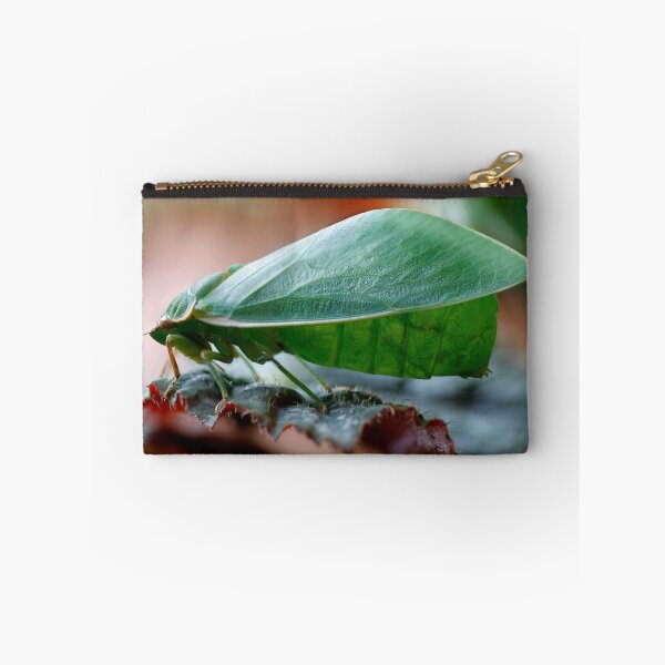Item preview, Bladder Cicada - Cystosoma saundersii  designed and sold by Normf.