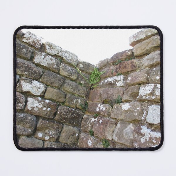 Item preview, #102 |☼| The Corner Plants (Hadrian's Wall) designed and sold by Naean H.F. (Nez Man).