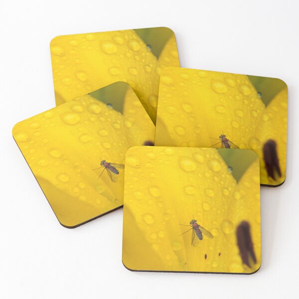Item preview, Mosca descansando sobre un lirio designed and sold by Bill Spengler's Photographic Thoughts.