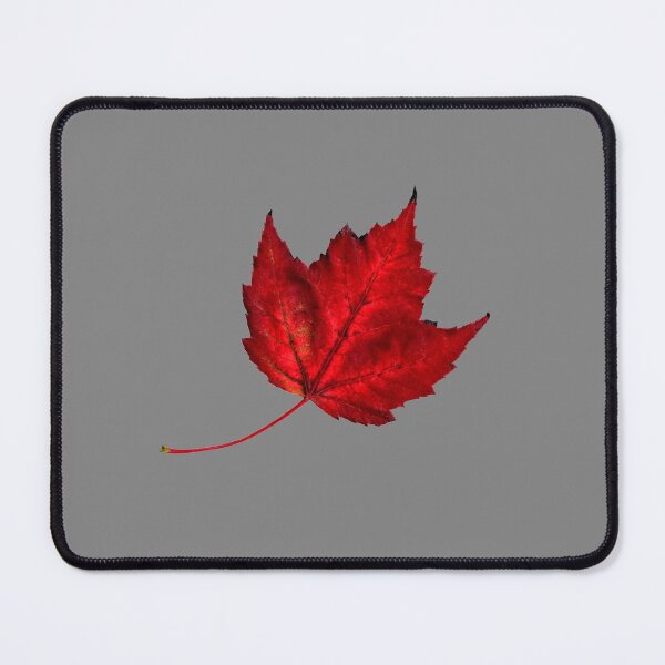 Item preview, Fall Maple Leaf (grey background) designed and sold by Image NDesign.