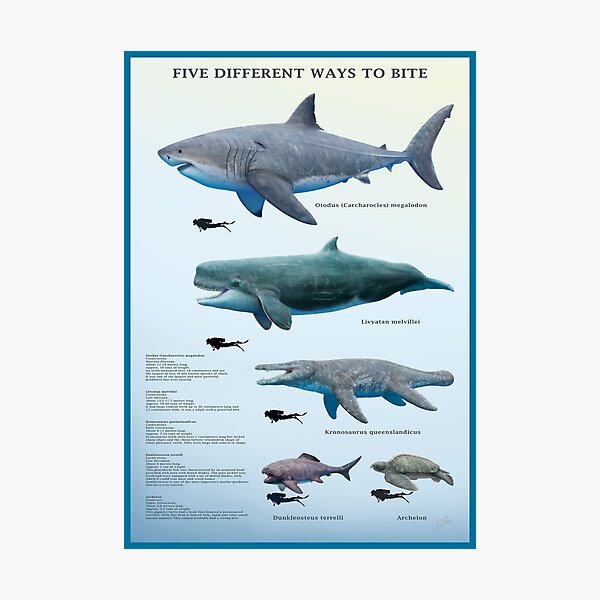 Five different ways to bite Photographic Print
