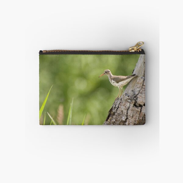 Item preview, Spotted sandpiper designed and sold by Philippe Widling.