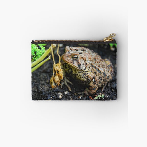 Item preview, Mr Toad designed and sold by Brendan Buckley.