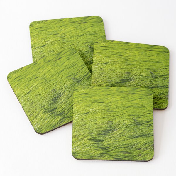 Item preview, bright green moss algae  designed and sold by beenplanted.