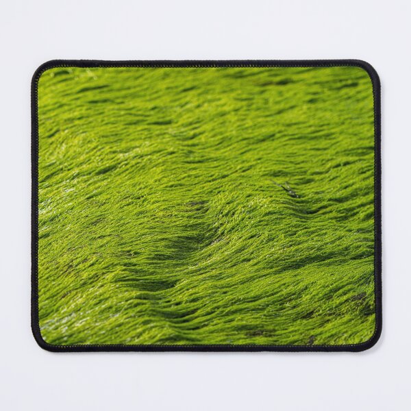 Item preview, bright green moss algae designed and sold by beenplanted.