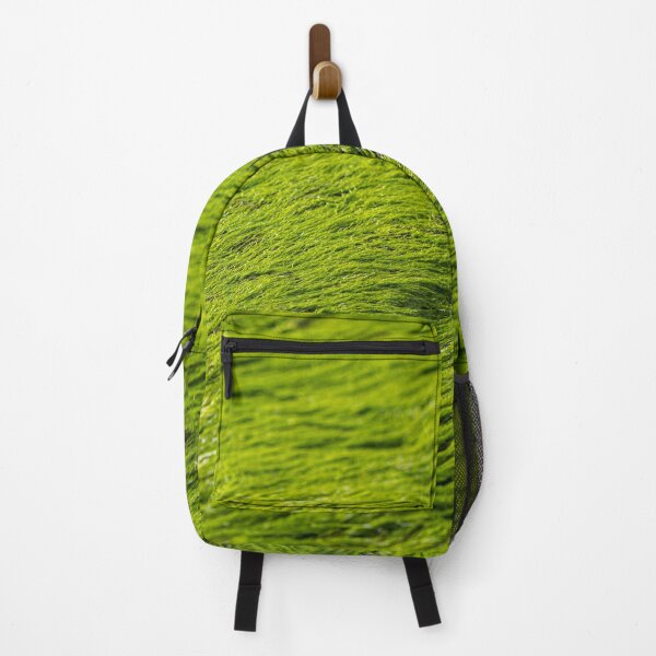 Item preview, bright green moss algae designed and sold by beenplanted.