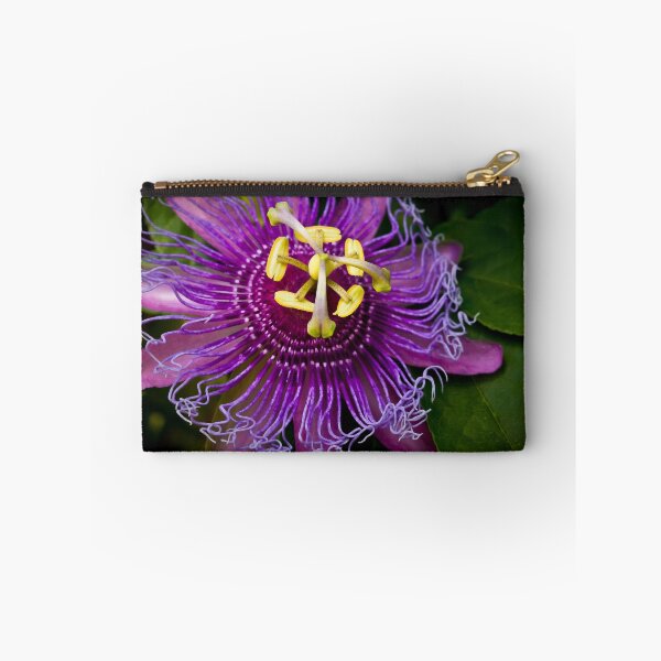 Item preview, A Big Passion designed and sold by Melissa Gurdus.