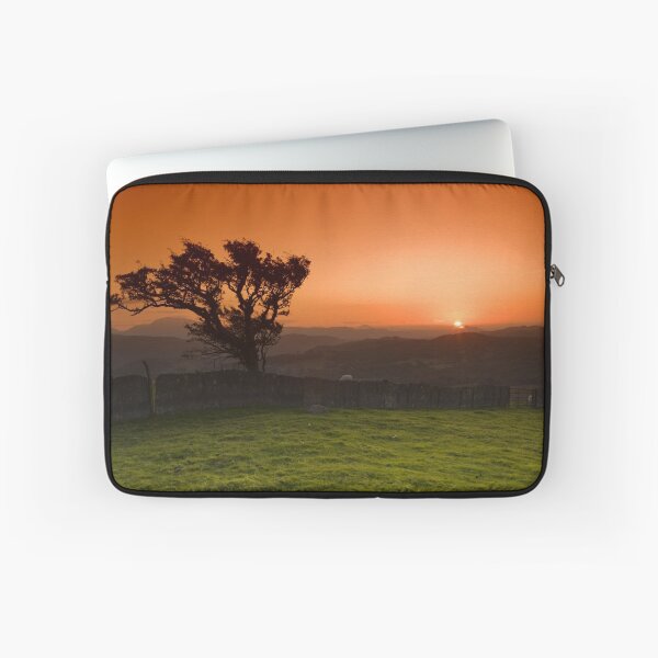 Item preview, Windswept tree designed and sold by Rory Trappe.