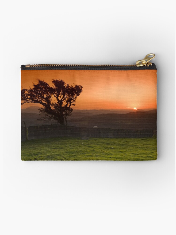 Thumbnail 1 of 4, Zipper Pouch, Windswept tree designed and sold by RoryT.