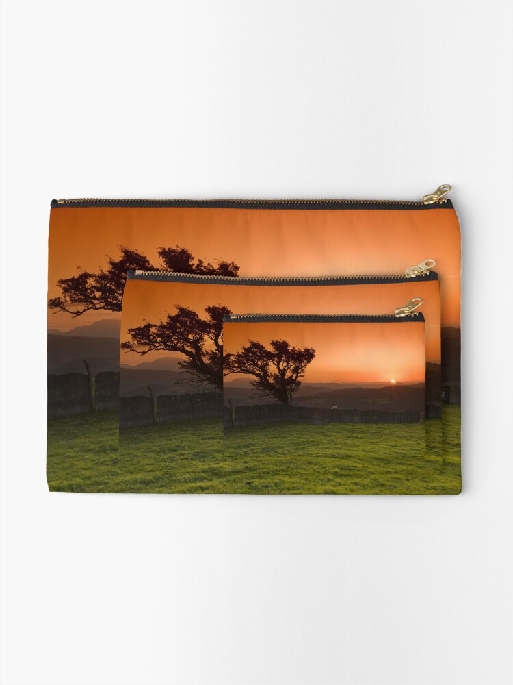 Thumbnail 2 of 4, Zipper Pouch, Windswept tree designed and sold by RoryT.