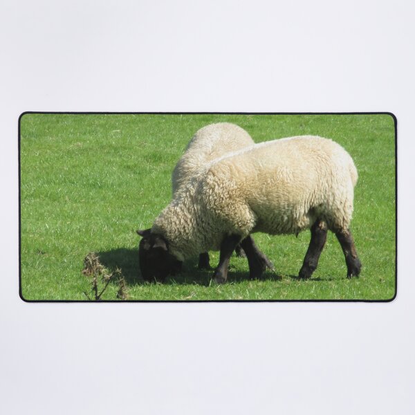 M.I. #76 |☼| Sheep - Shot 2 (Hadrian's Wall) Desk Mat