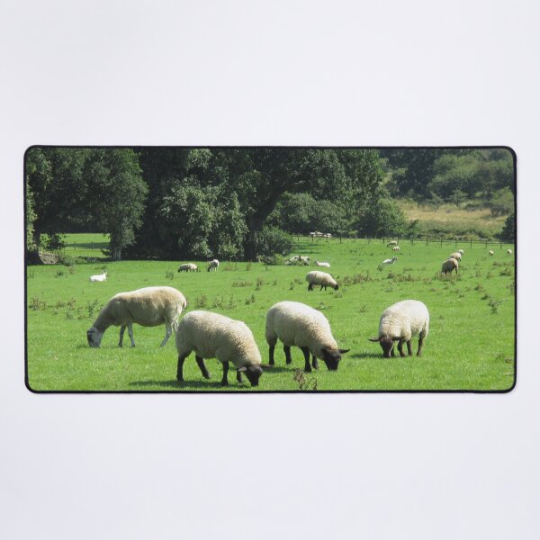 M.I. #75 |☼| Sheep - Shot 1 (Hadrian's Wall) Desk Mat