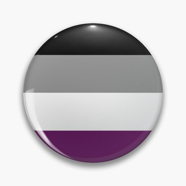 Asexual / Ace Pride Colors Pin