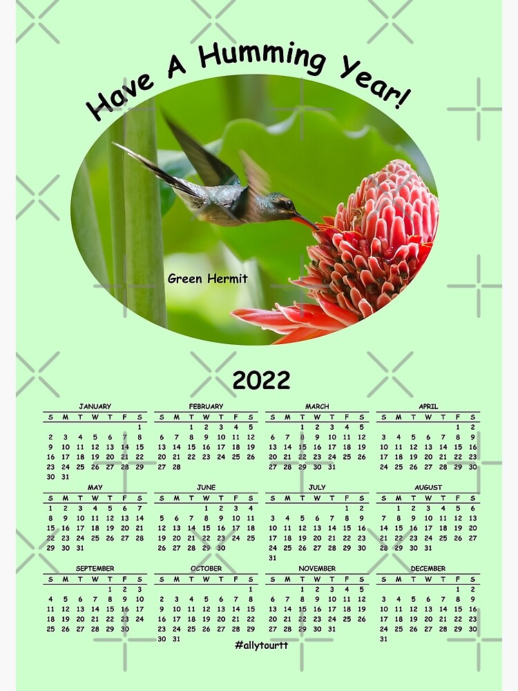 "Green Hermit Hummingbird 2022 Calendar Designed by Santimanitay