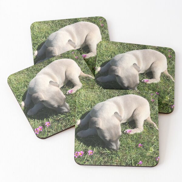 Item preview, Whippet puppy designed and sold by jarrahimages.