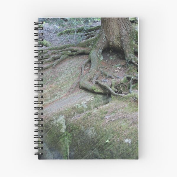 Aperçu de l'œuvre Arbre croissant créée et vendue par Tieras.