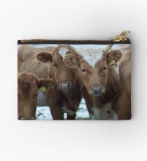 Cows Studio Pouch