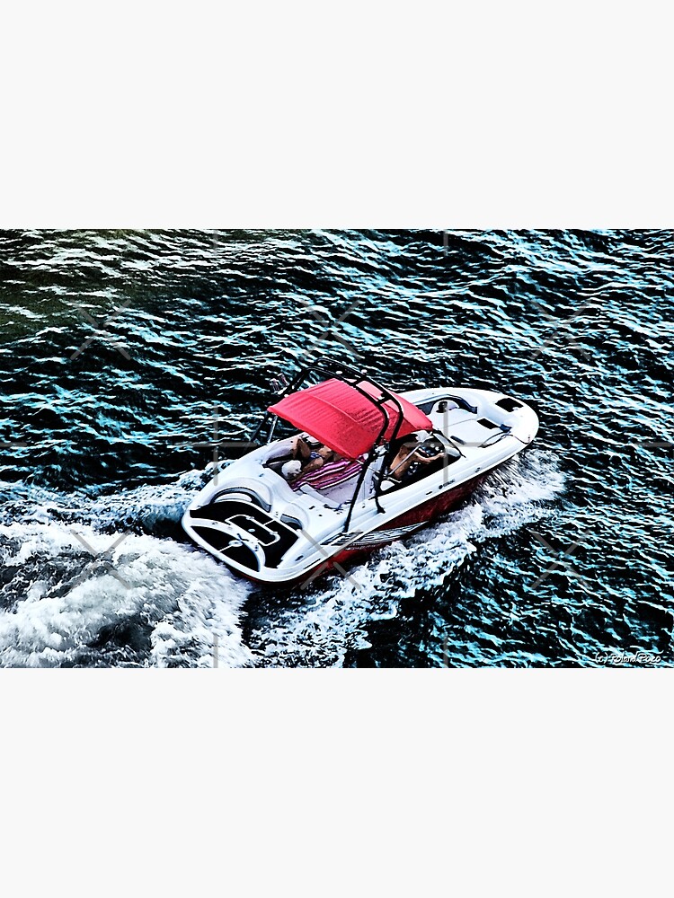 Intracoastal Speedster by photorolandi
