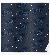 Star Gazer Poster