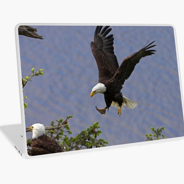 Home with Lunch Laptop Skin