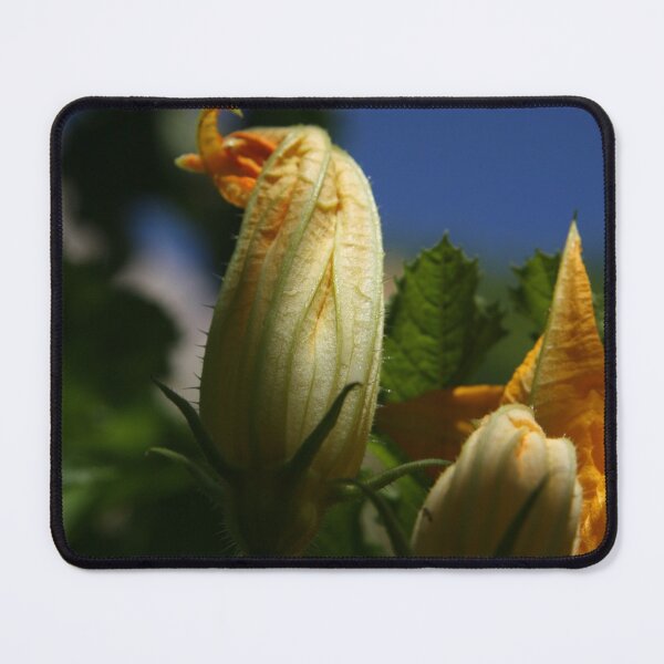 Item preview, Spring Burst designed and sold by Tovers.