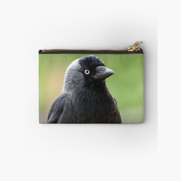 Item preview, jackdaw designed and sold by mrshutterbug.