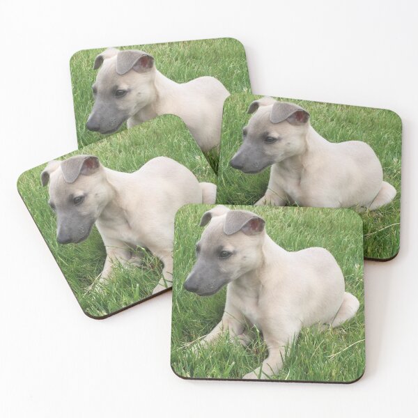 Item preview, Whippet pup designed and sold by jarrahimages.