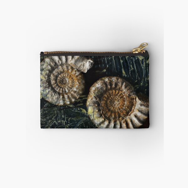 Item preview, Ammonites designed and sold by lastgasp.
