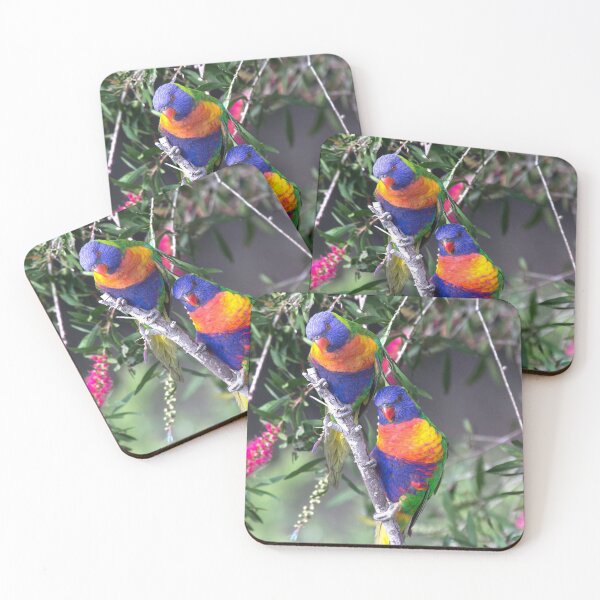 Item preview, Rainbow Lorikeets perching together designed and sold by RAFImages.