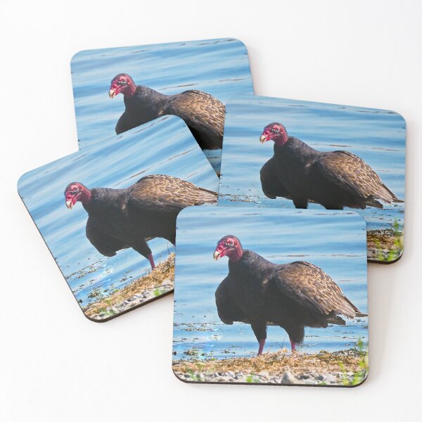 Item preview, Turkey Vulture Staring A The Camera designed and sold by BackyardBirder.