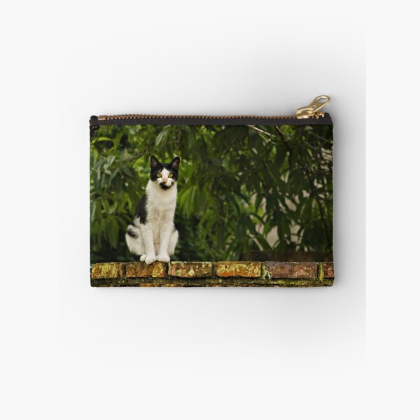 Item preview, Cat On A Wall designed and sold by TeresaB.