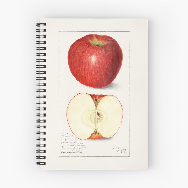 Item preview, vintage apple slice illustration designed and sold by earlgreylatte.