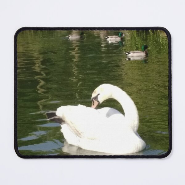 M.I. #65 |☼| Swan - Shot 23 (Pearson Park) Mouse Pad