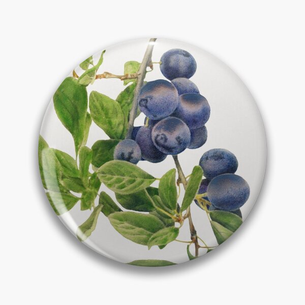 Item preview, vintage plum branch illustration designed and sold by earlgreylatte.