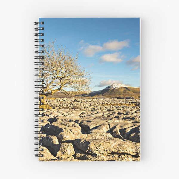 Item preview, Inglebrough designed and sold by David Lewins.