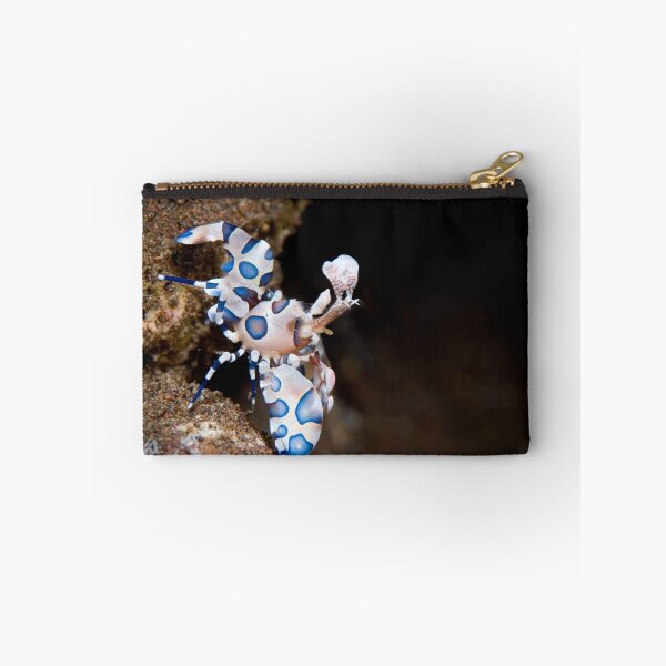 Item preview, Harlequin shrimp designed and sold by Stephen Colquitt.