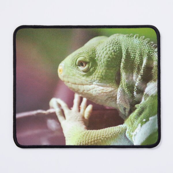 Item preview, Iguana designed and sold by WardenQueen.