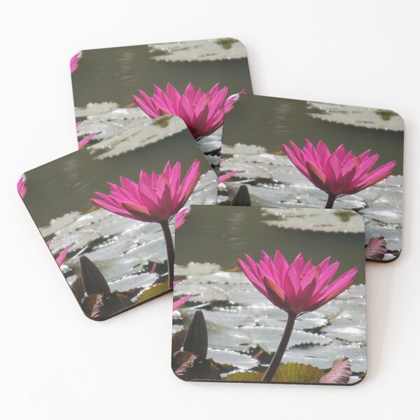 Item preview, Water Lilies designed and sold by Rene-Martin.