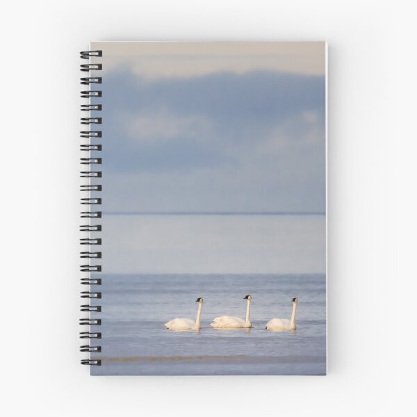 Item preview, Cook Inlet Trumpets designed and sold by Owed To Nature.