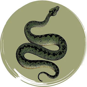 Vorschaubild zum Design Python- und Sun-Design von AndreB61