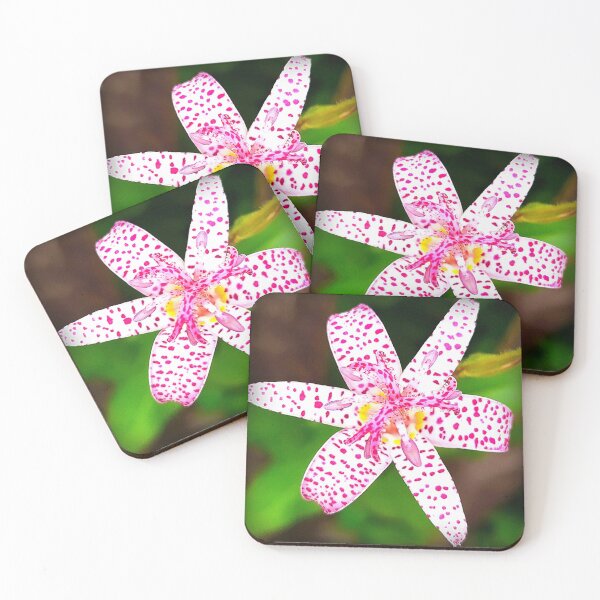 Item preview, Toad Lily (Tricyrtis hirta) designed and sold by angel1.