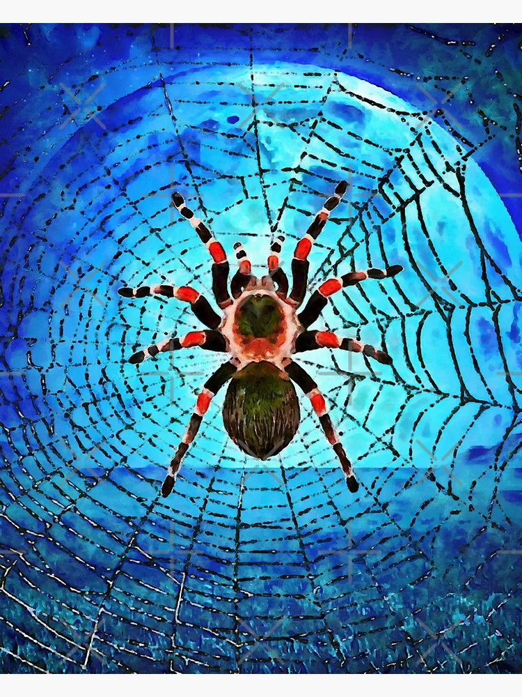 #bubble #spider #nature #desert #awesome Poster