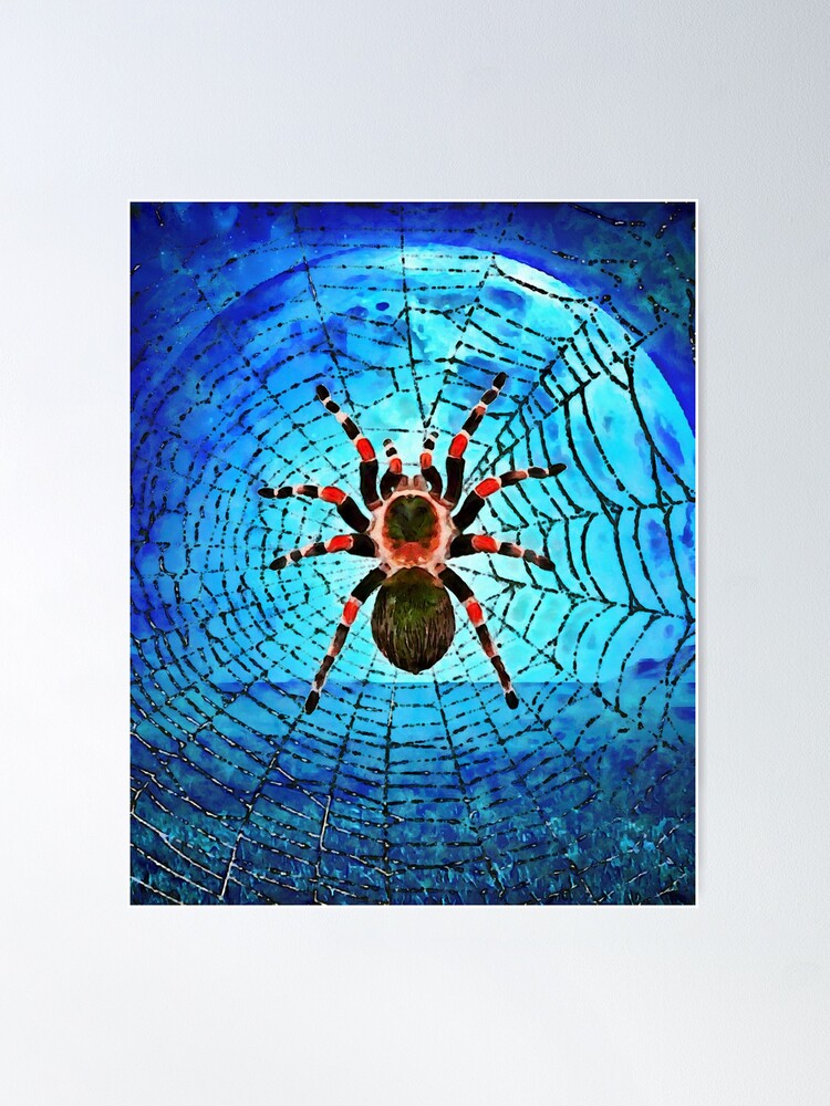 A Spider on a web. Beautiful spider. Moon. Art Poster for Sale by  HorrorsShop