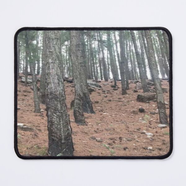 Item preview, Trees designed and sold by DKMADAWELA.