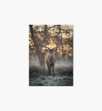Love you Deer Art Board