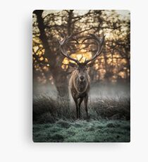 Love you Deer Canvas Print