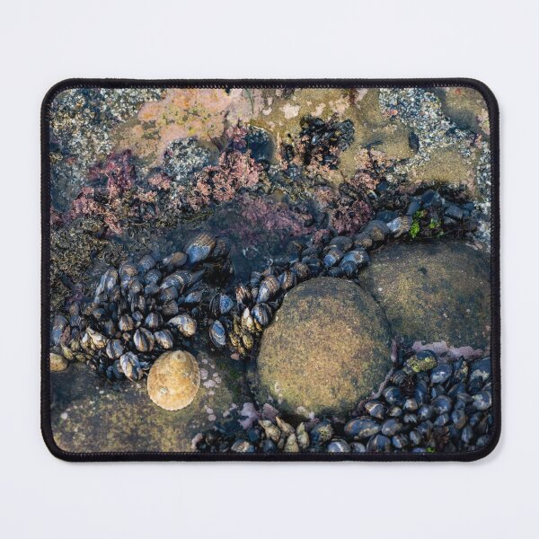 Item preview, tidepool colors designed and sold by beenplanted.