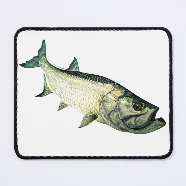 Item preview, Tarpon designed and sold by Paul Kyriakides.