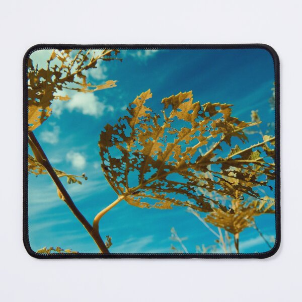 Item preview, Autumn lace. Infrared edit designed and sold by Jouko Lehto Photography.